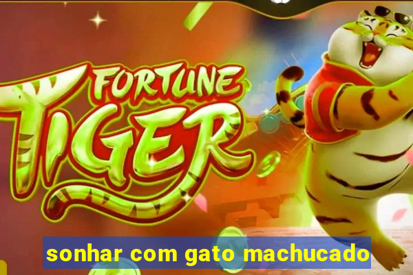 sonhar com gato machucado